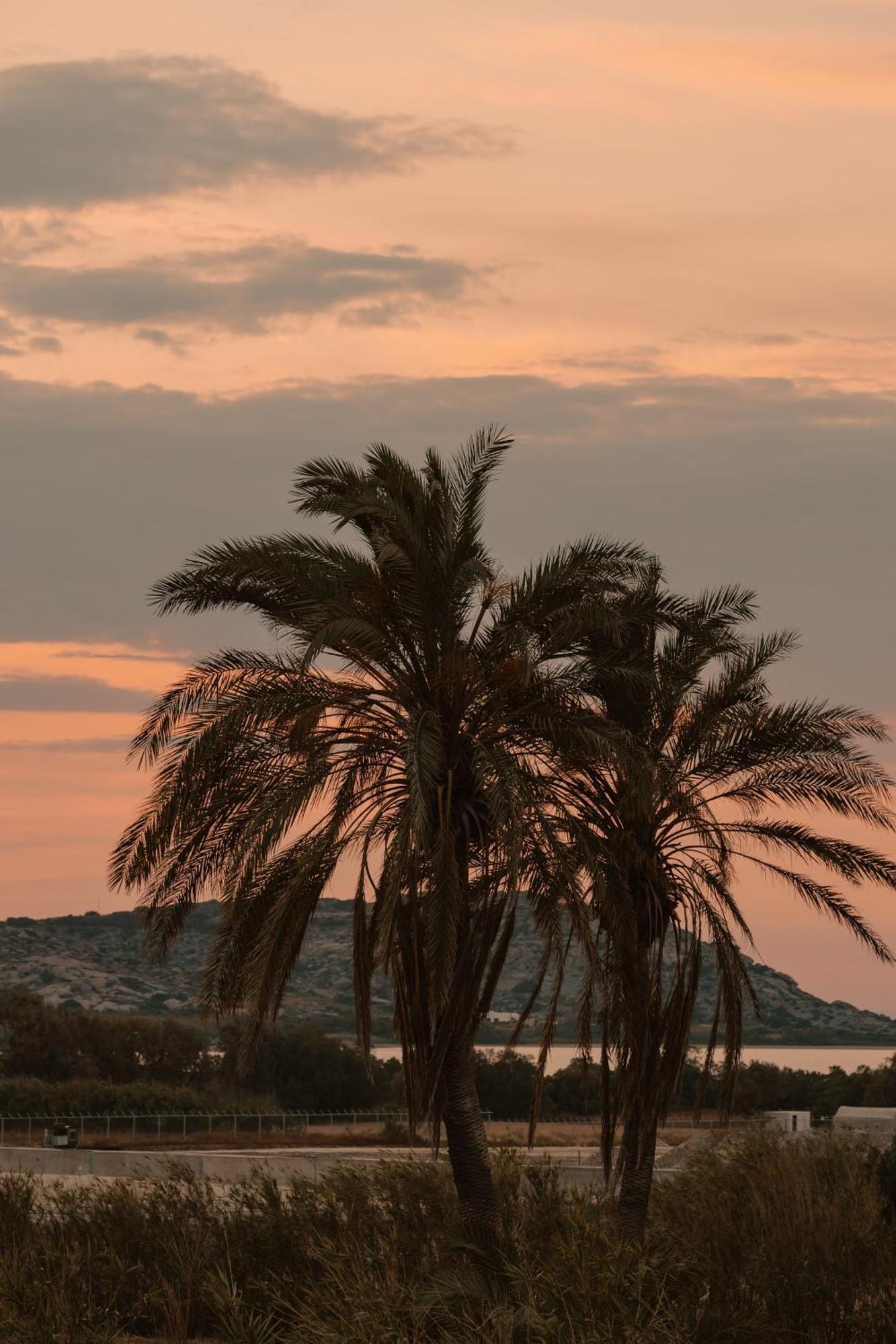 Agia Anna  Villa Vaya מראה חיצוני תמונה